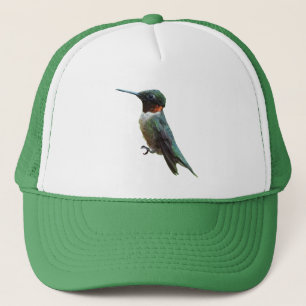 Casquette Photographie d'oiseau de colibri à gorge rubis
