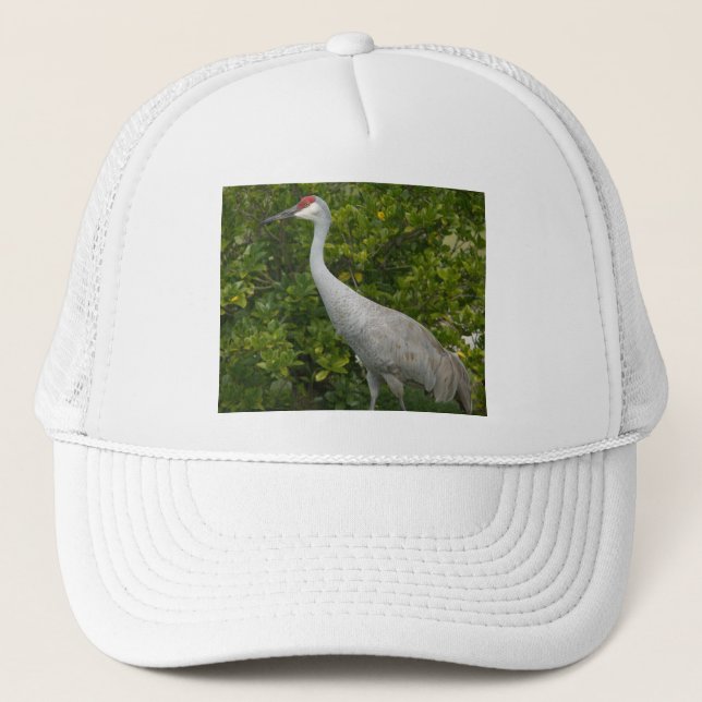 Casquette Photographie d'oiseau de grue de Sandhill (Devant)
