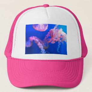 Casquette Photos aquatiques nautiques Photographie d'animaux