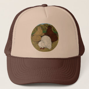 Casquette Pigeon Combo