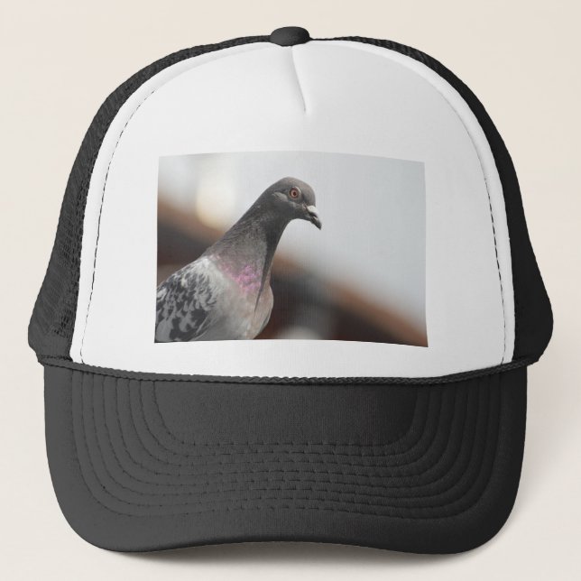 Casquette Pigeon d'emballage (Devant)