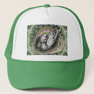 Casquette Pigeon Nest