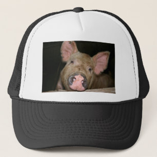 Casquette Piglet rose