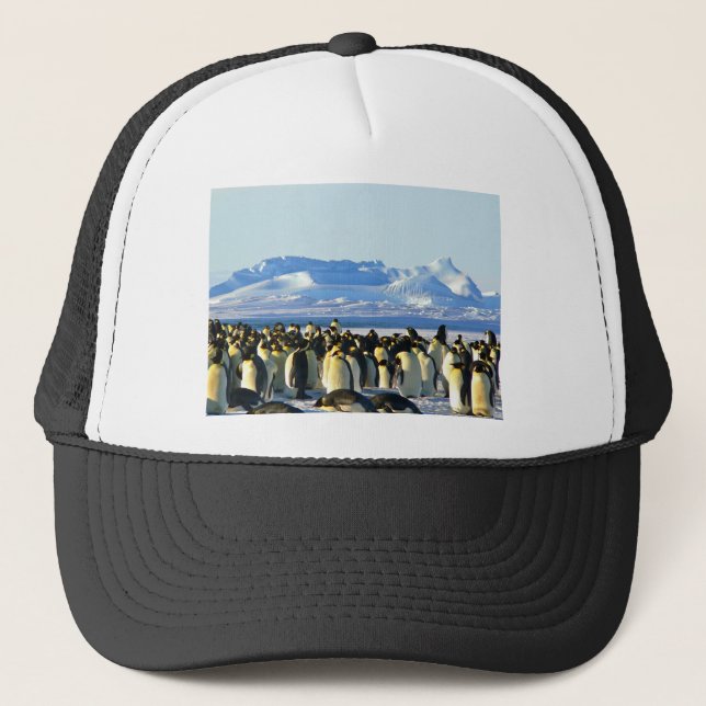 Casquette Pingouins empereurs (Devant)