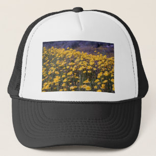 Casquette Pissenlits