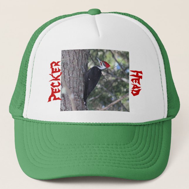 Casquette Pivert de Pileated (Devant)