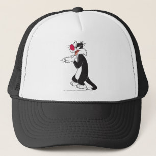 Casquette Plaques de frottement SYLVESTER™