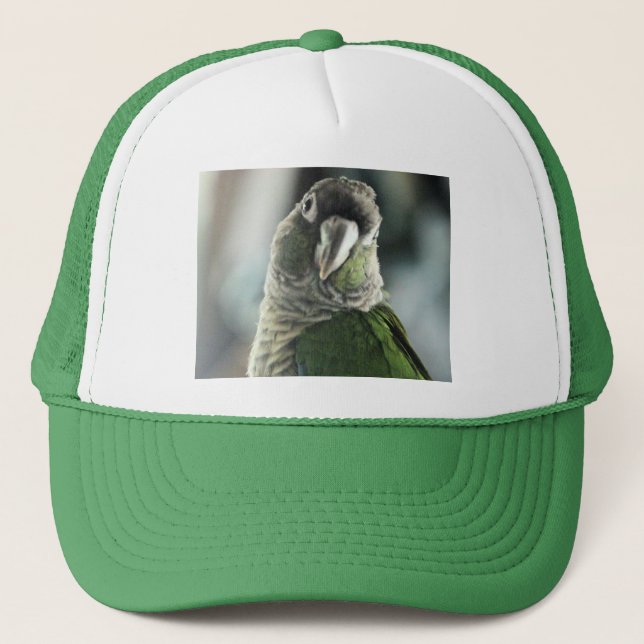 Casquette Plus de faux hérisson (Devant)