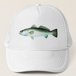 CASQUETTE POINT