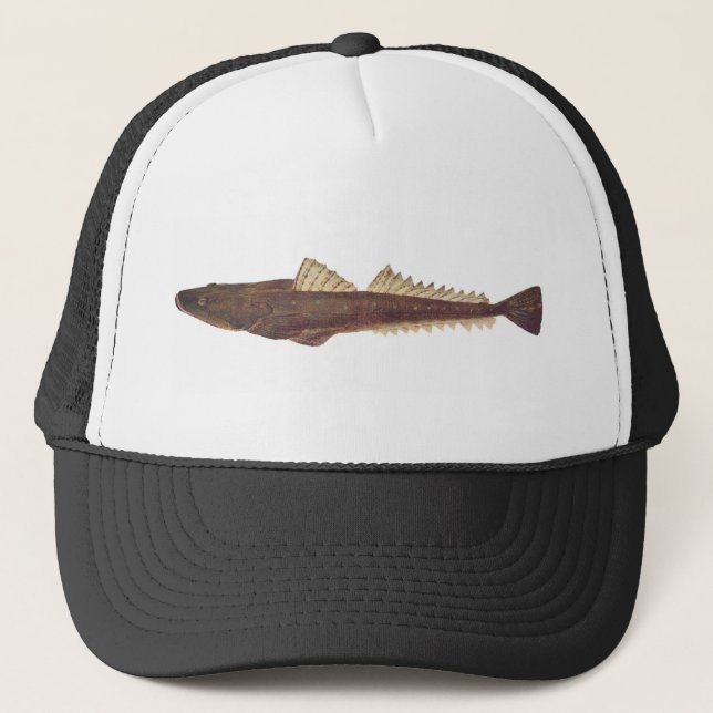 Casquette Poisson - Dusky Flathead - Platycephalus fuscus (Devant)