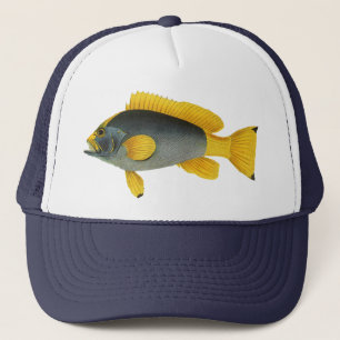Casquette Poisson Groupeur Bleu et Jaune, Vie Marine Vintage