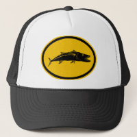 Poissons de barracuda