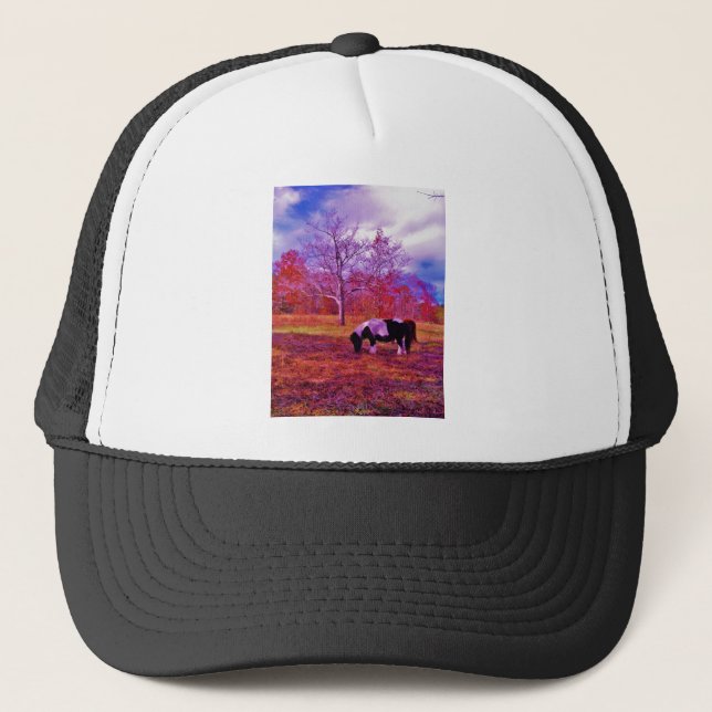Casquette PONY dans un champ de couleur PLANCHE (Devant)