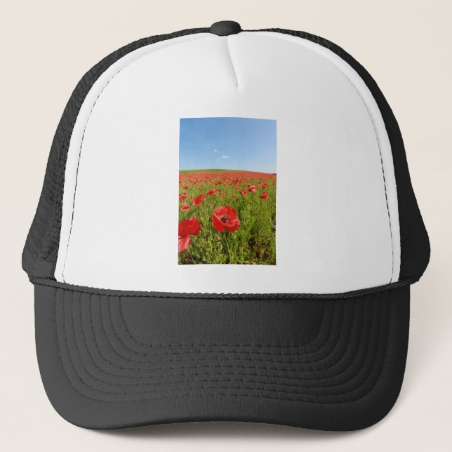 Casquette Poppy field (Devant)