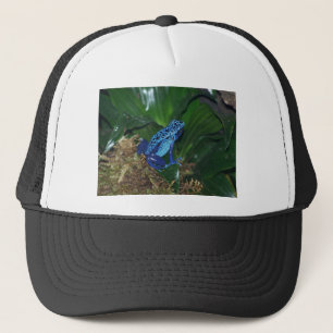 Casquette Portrait bleu de grenouille de flèche de poison
