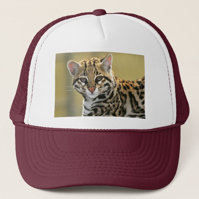 Casquette Portrait d'Ocelot (Devant)