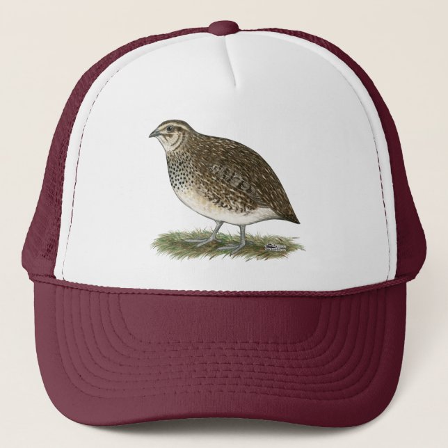 Casquette Poule de cailles de Coturnix (Devant)