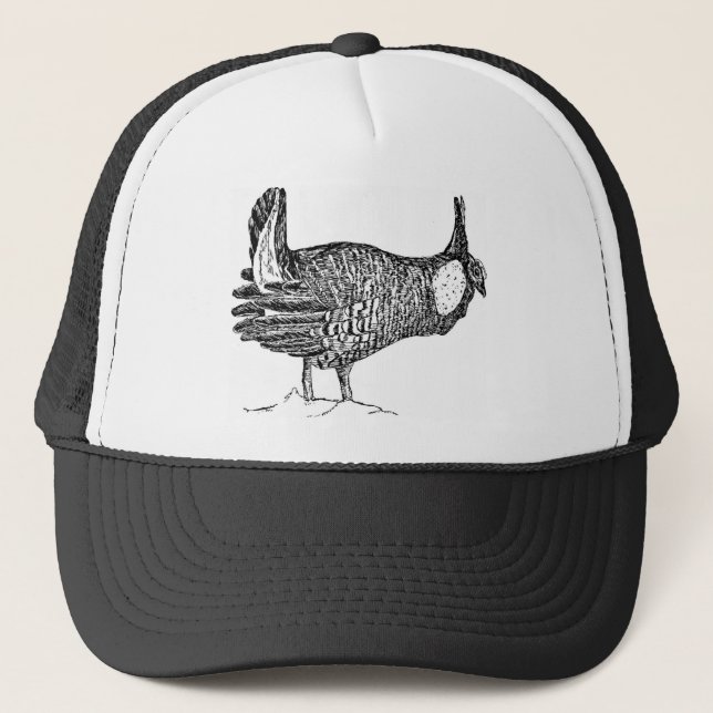 Casquette Poulet de prairie (Devant)