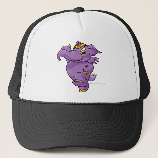 Casquette Pourpre d'Elephante (Devant)