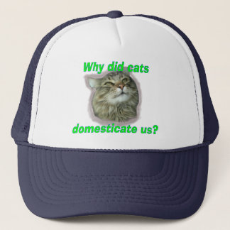 Casquette Pourquoi les chats nous ont-ils domestiqués ?