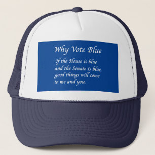 Casquette Pourquoi voter bleu en 2026