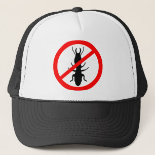 Casquette Prenez garde des termites