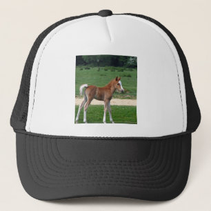Casquette Printemps mignon de cadeaux de destin de poulain