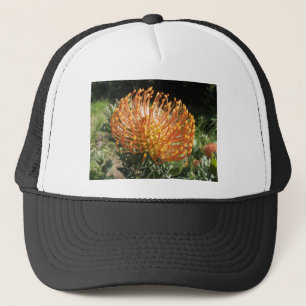 Casquette protéa