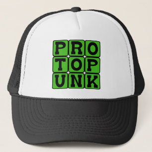 Casquette Protopunk, Genre musical