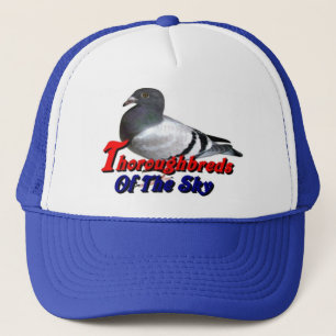 Casquette Pur sangs du ciel