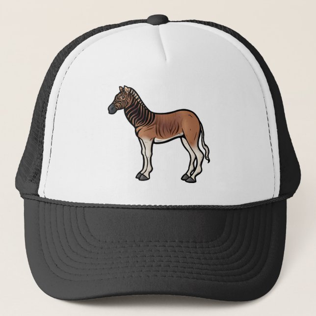 Casquette Quagga (Devant)