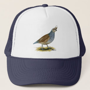 Casquette Quail à échelle