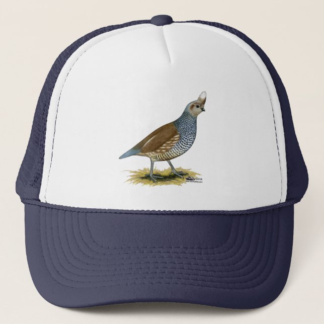 Casquette Quail à échelle (Devant)