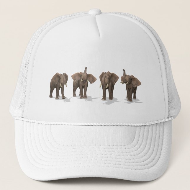 Casquette Quartet des éléphants (Devant)