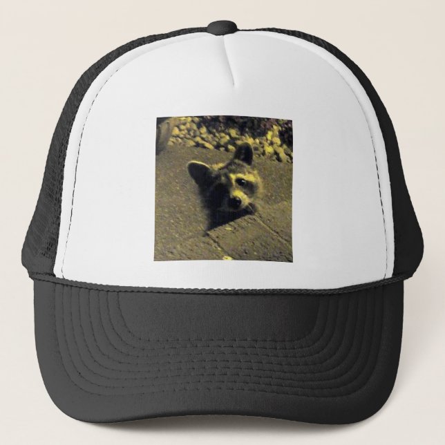 Casquette Raccoon ~ Visage d'un ange (Devant)