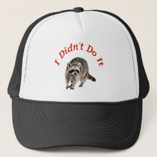 Casquette Racoon