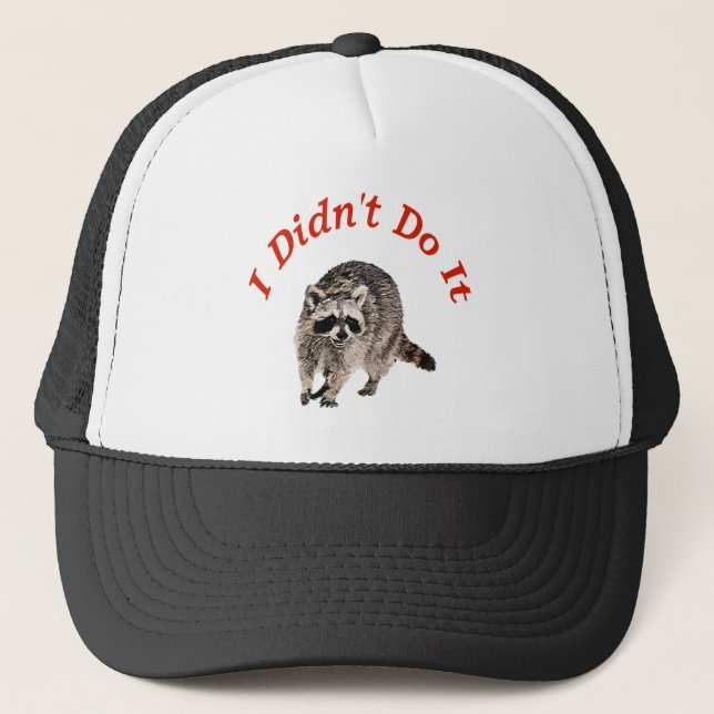 Casquette Racoon (Devant)