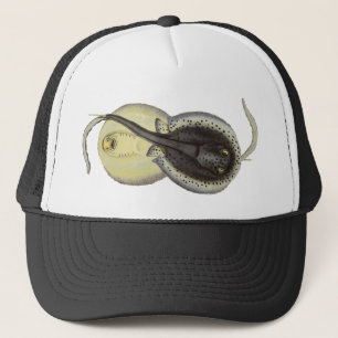 Casquette Raies pastenagues tachetées, Animaux marins vintag