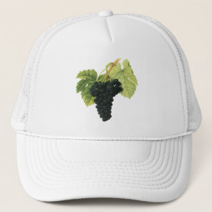 Casquette Raisin de vigne biologique vin rouge vintage, nour