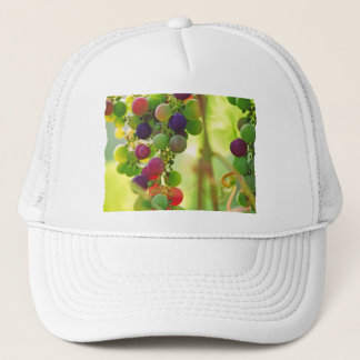 Casquette Raisins de beaucoup de couleurs