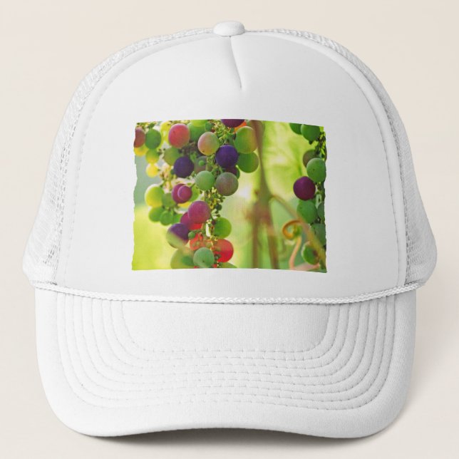 Casquette Raisins de beaucoup de couleurs (Devant)