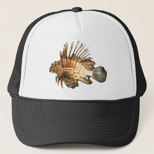 Casquette Rascasse volante (Devant)