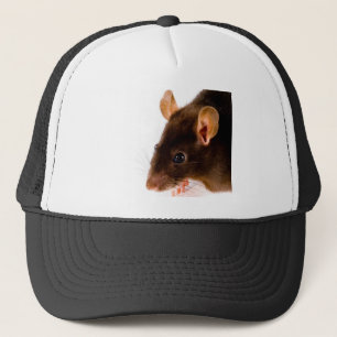Casquette Rat Brown