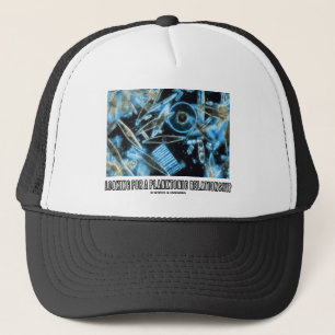 Casquette Recherchant un rapport planctonique (diatomées)