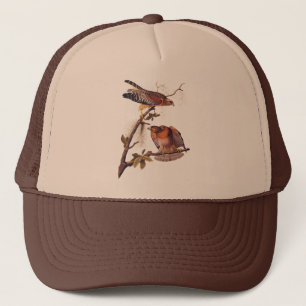 Casquette Red Shouldered Hawk Audubon Bird of Prey