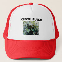 RÈGLES DE KUDZU