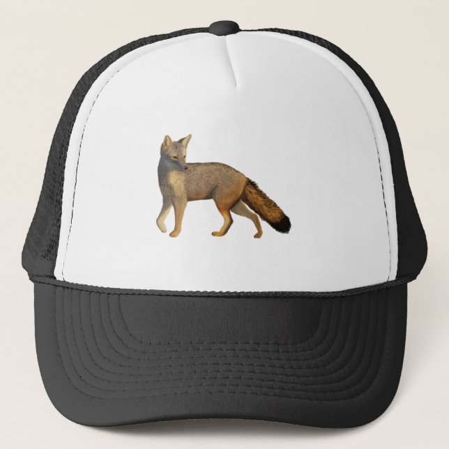 Casquette Renard de Culpeo (Devant)