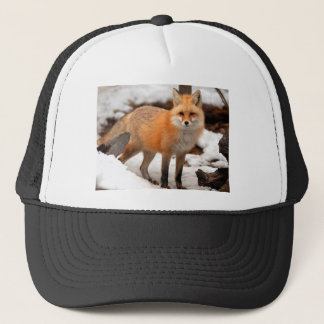 Casquette Renard rouge dans la neige