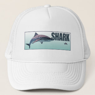 Casquette Requin