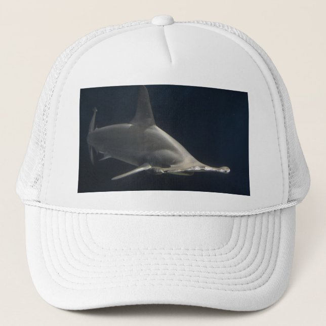 Casquette Requin de poisson-marteau (Devant)